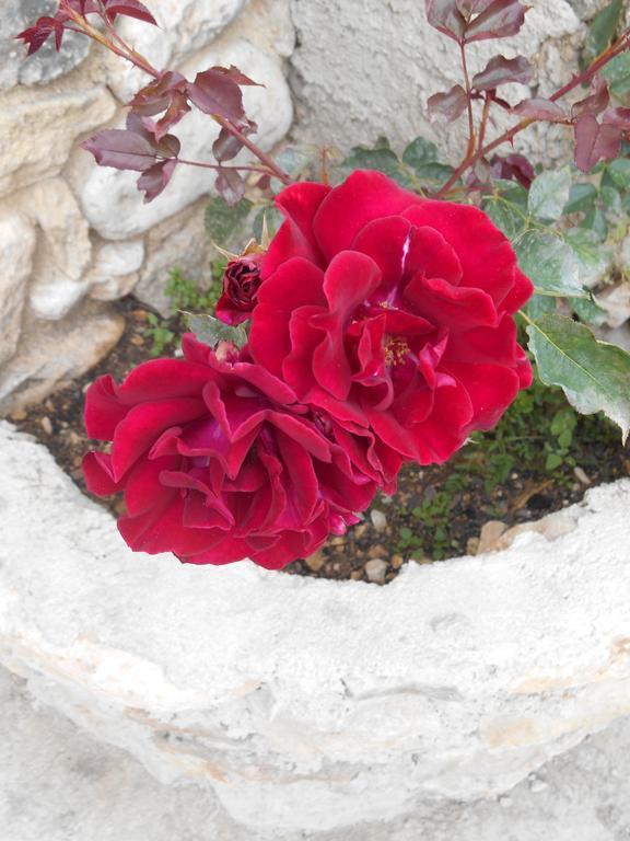 Le Mas Des Baux Bedoin Bagian luar foto