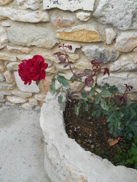 Le Mas Des Baux Bedoin Bagian luar foto