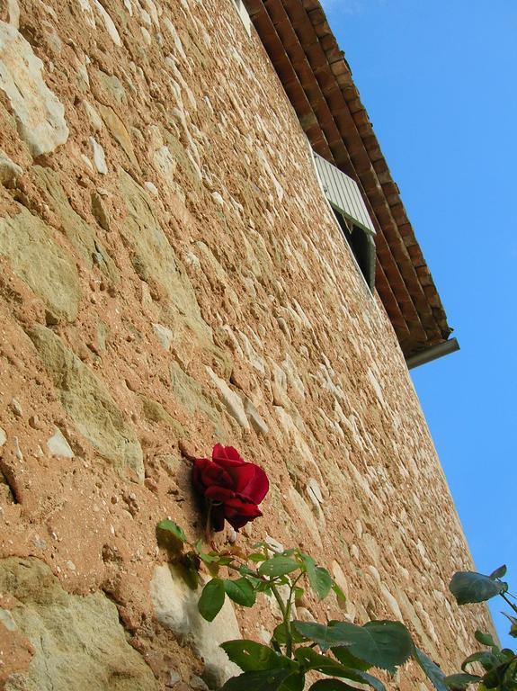 Le Mas Des Baux Bedoin Bagian luar foto